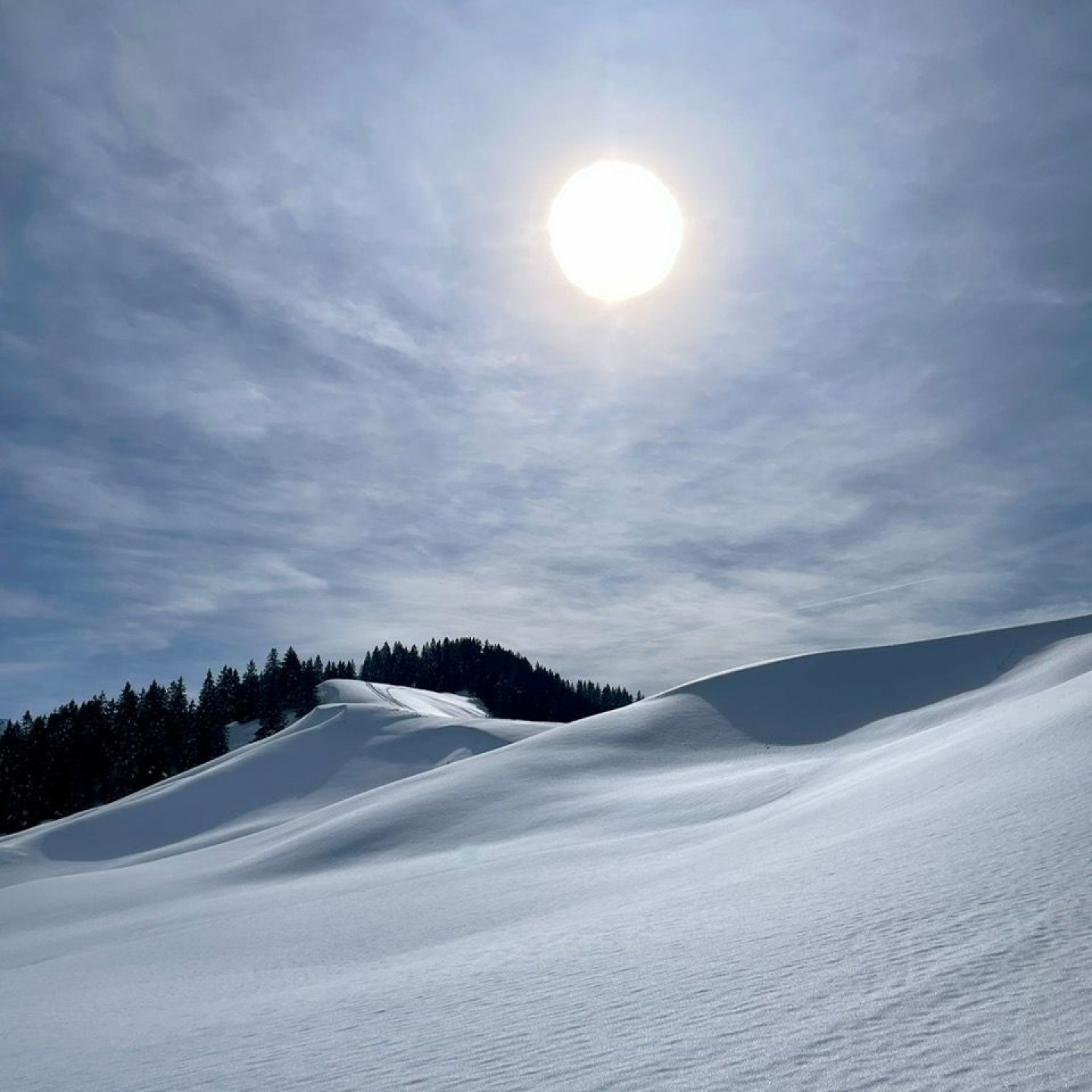 90dcfaab-22e8-42e7-a368-8323963ddd08