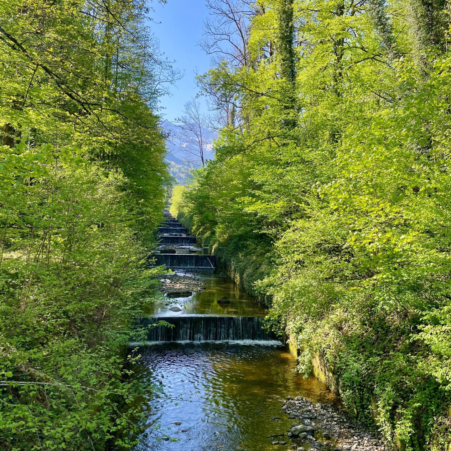 IMG-20250429-WA0003