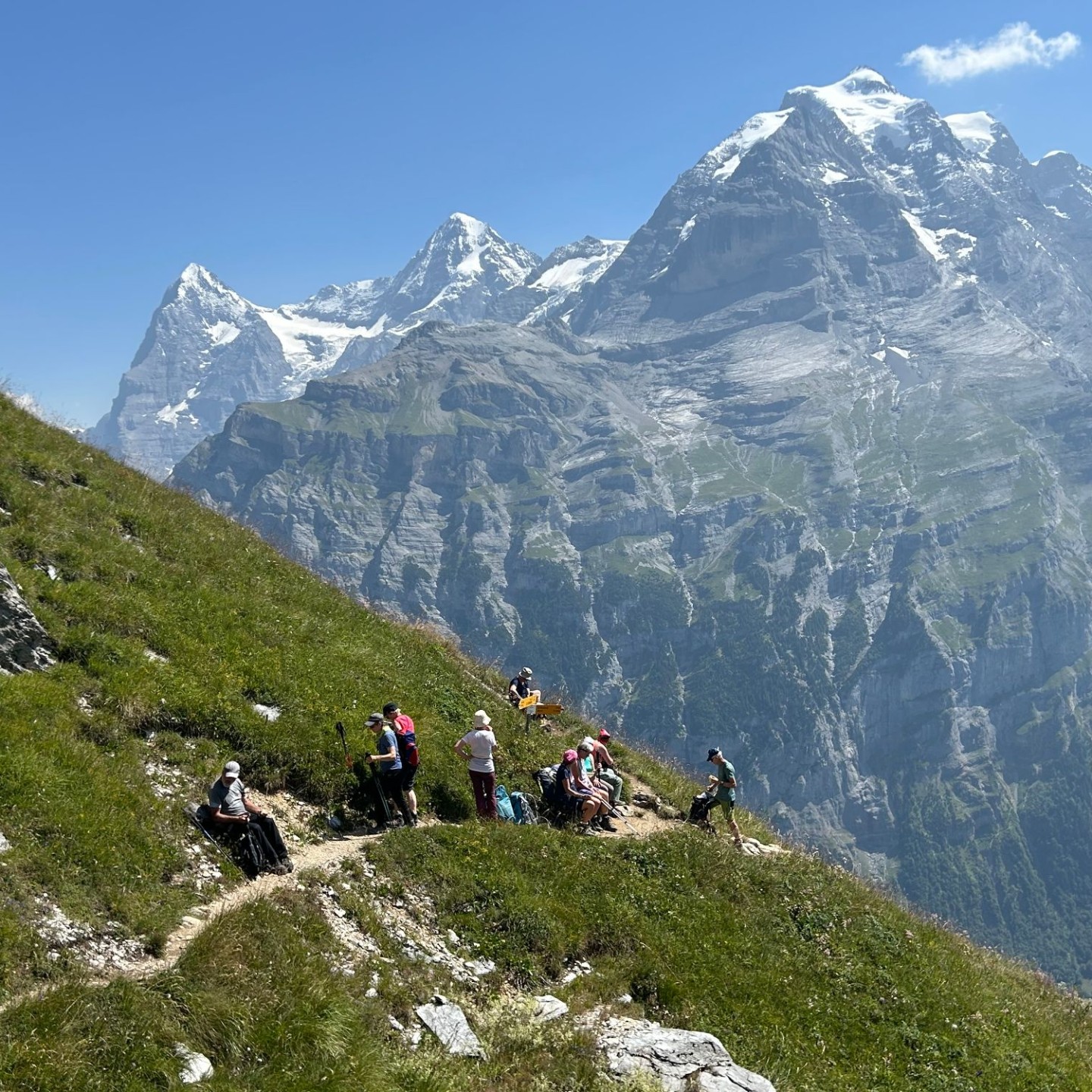 Image1 (4)