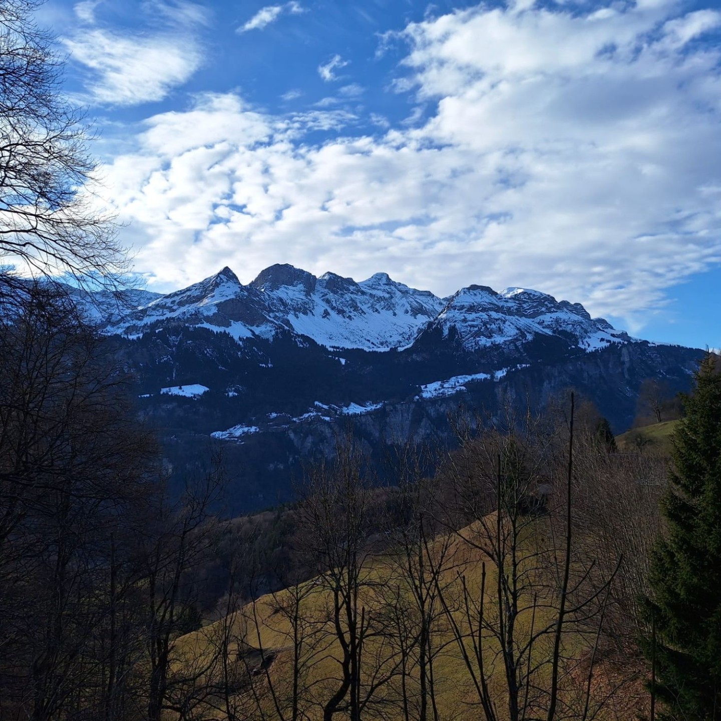 WhatsApp Image 2025-12-21 at 17