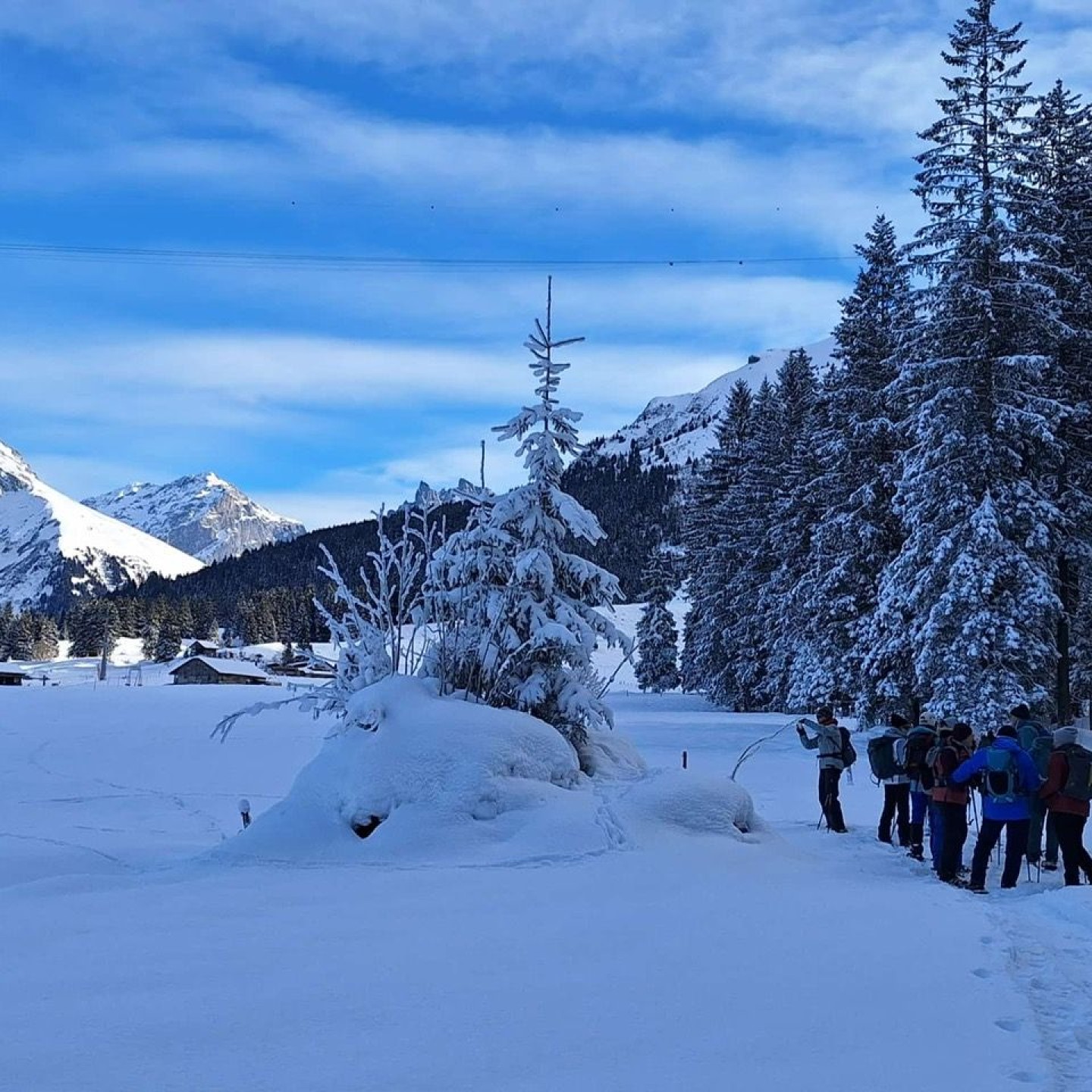 Ae4a52f7-4969-4d62-8fd6-ca051f93a8f8