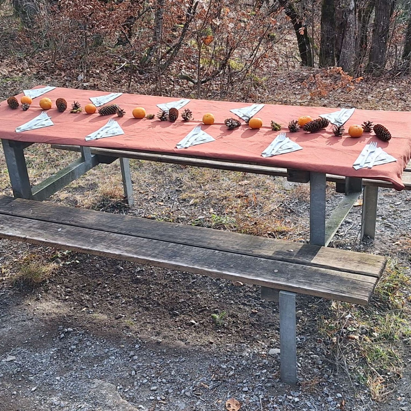 WhatsApp Image 2025-12-21 at 17