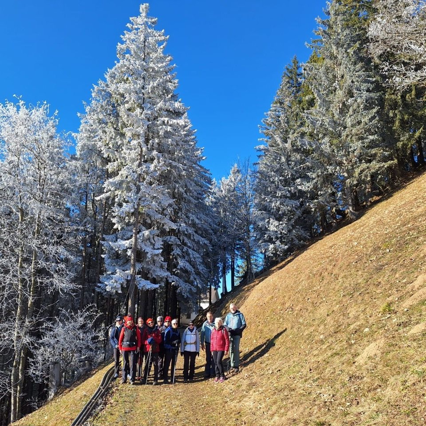 Bdc543d2-5c40-41a1-bf10-a2e167d699a5