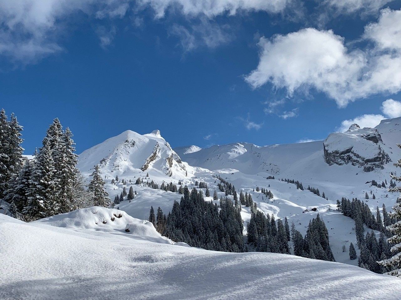 Foto: M. Grossrieder