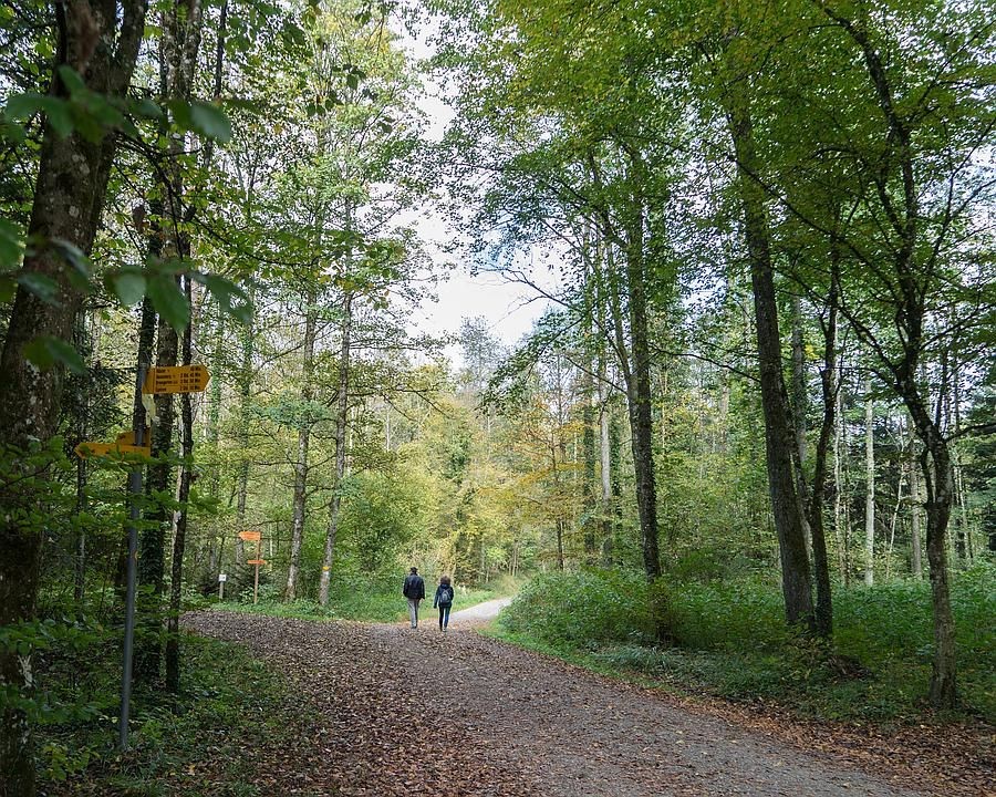 Foto: Claudine Sydler, FotoPatin SchweizMobil