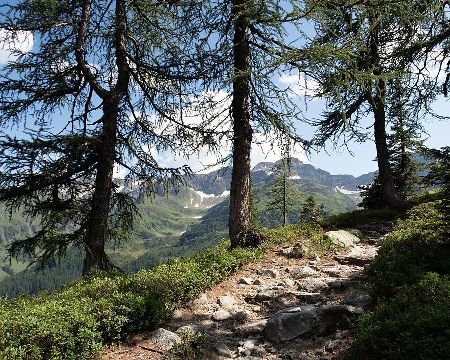 Foto: René Michel, FotoPate SchweizMobil